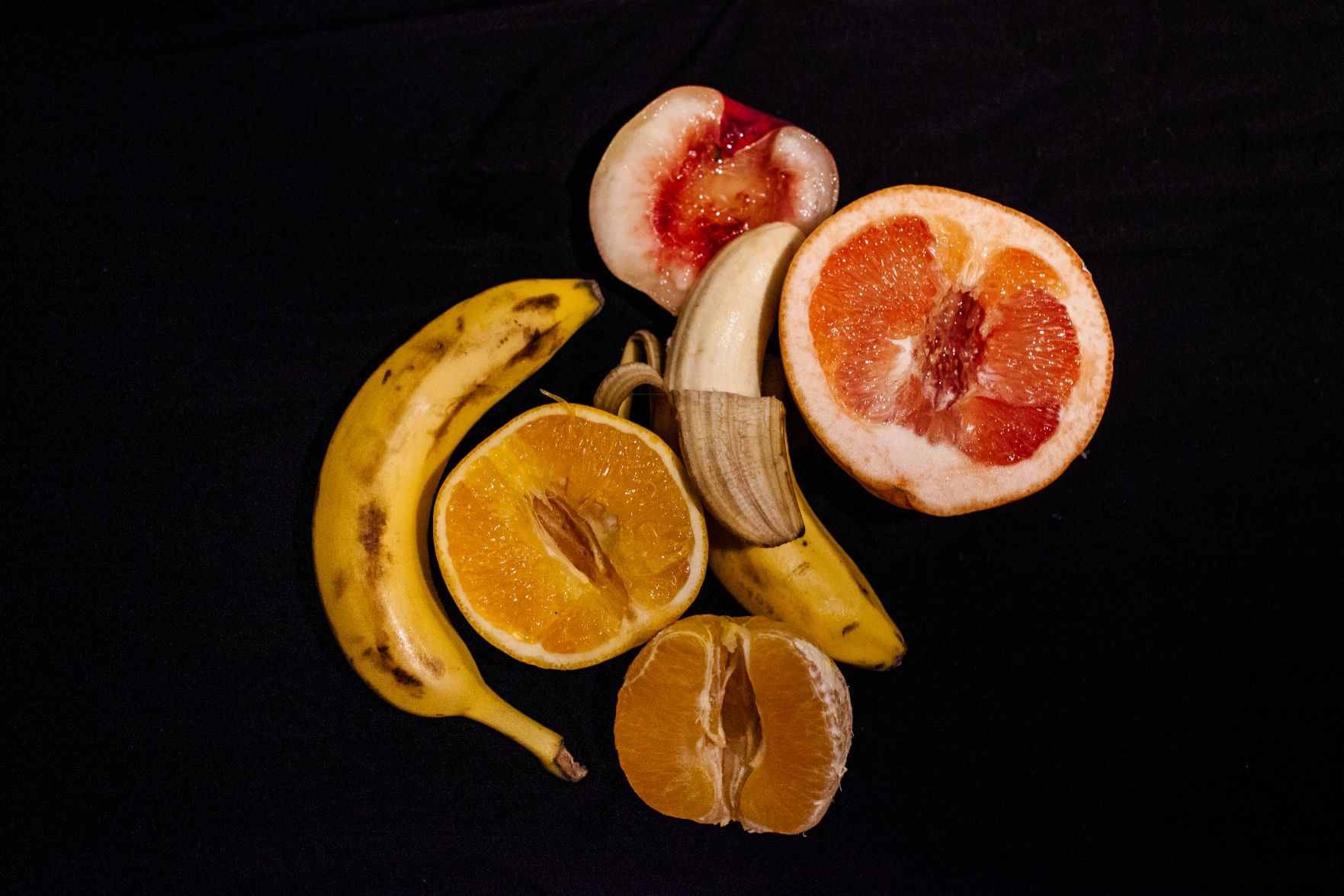 FruitIllustration07_Diggins